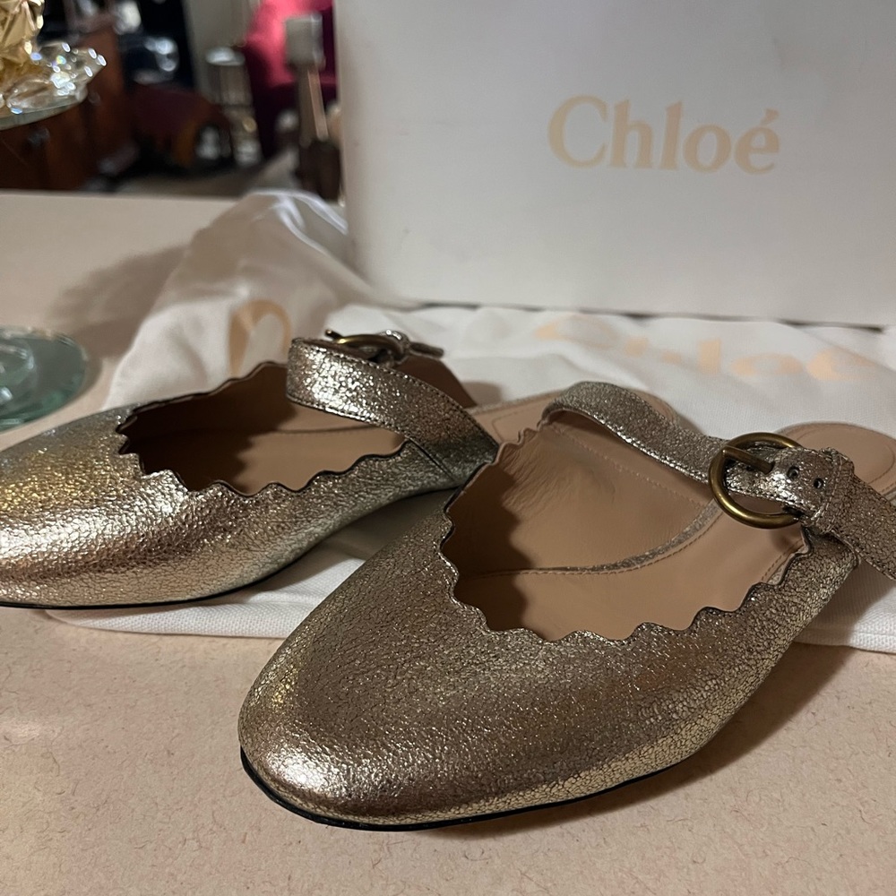 Chloe flat scalloped mule with buckle